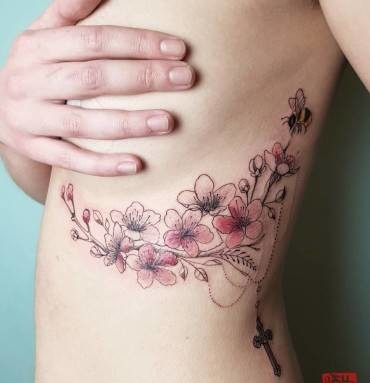 Cherry Blossoms