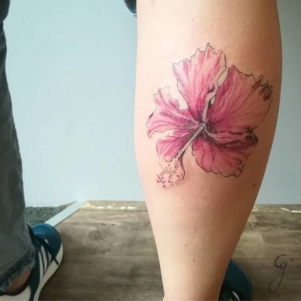 Panama series hibiscus